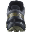 Мъжки обувки за бягане Salomon Speedcross 6 Gore-Tex