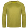 Мъжка термо тениска Loap Perti син/зелен