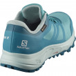 Дамски обувки Salomon Trailster 2 GTX W