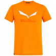 Мъжка тениска Salewa Solidlogo Dri-Rel M S/S Tee оранжев GloryMelange