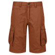 Мъжки къси панталони Regatta Shorebay Short