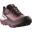 Дамски обувки Salomon Genesis Gore-Tex