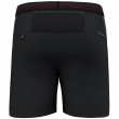 Мъжки къси панталони Salewa Pedroc 2 Dst M Shorts