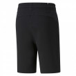 Мъжки къси панталони Puma Power Logo Shorts 10"" TR