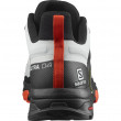 Мъжки обувки Salomon X Ultra 4 Gore-Tex