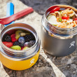Термос за храна Hydro Flask 20 oz Insulated Food Jar