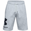 Мъжки къси панталони Under Armour Rival FLC Big Logo Shorts