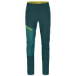 Мъжки панталони Ortovox Brenta Pants M син/зелен