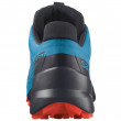 Мъжки обувки Salomon Speedcross 5 GTX