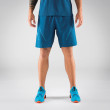 Мъжки къси панталони Dynafit Alpine 2 M Shorts