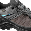 Дамски обувки Salomon X Ultra 3 Ltr GTX W
