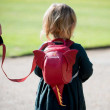 Детска раница LittleLife Animal Toddler Backpack Dragon