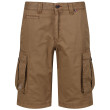 Мъжки къси панталони Regatta Shorebay Short кафяв DarkCamel