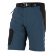 Мъжки къси панталони Direct Alpine Cruise Short сив/син Greyblue/Black