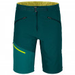 Мъжки къси панталони Ortovox Brenta Shorts зелен