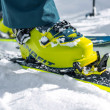 Обувки за ски-алпинизъм Dynafit Radical Pro