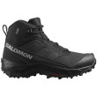 Мъжки обувки Salomon Crosstrak Waterproof