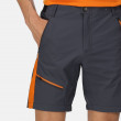 Мъжки къси панталони Regatta Highton Pro Short