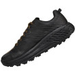 Мъжки обувки за бягане Hoka One One Speedgoat 4 Gtx