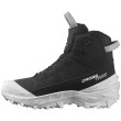 Мъжки зимни обувки Salomon Crosstrak Powder Waterproof