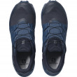 Мъжки обувки Salomon Wildcross GTX