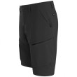 Мъжки къси панталони Salewa Puez Dst M Cargo Shorts
