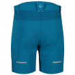 Мъжки къси панталони Regatta Mountain Shorts