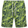 Мъжки къси панталони Regatta Loras Swim Short m зелен