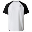 Мъжка тениска The North Face M S/S Raglan Easy Tee