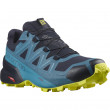 Мъжки обувки Salomon Speedcross 5 GTX син/жълт Nightish
