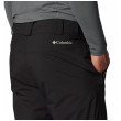 Мъжки зимни панталони Columbia Shafer Canyon™ II Pant