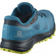 Мъжки обувки Salomon Trailster 2 GTX