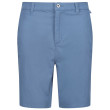 Мъжки къси панталони Regatta Sabden Short светло син Coronet Blue