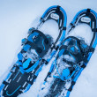 Комплект Warg Снегоходки Snowstorm + щеки Explorer