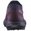 Дамски обувки за бягане Salomon Pulsar Trail/Pro W