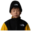 Шапка The North Face Kids Tnf Box Logo Cuffed Beanie