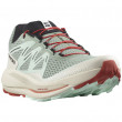 Мъжки обувки за бягане Salomon Pulsar Trail зелен/син