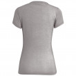 Дамска тениска Salewa Lines Graphic Dry W T-Shirt.