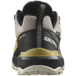 Мъжки туристически обувки Salomon X Ultra 360 GTX
