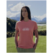 Дамска функционална блуза Icebreaker Women Merino 150 Tech Lite III SS Tee IB Grown Naturally