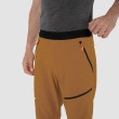 Мъжки панталони от софтшел Salewa SELLA DST M LIGHT PANTS