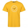 Мъжка тениска Regatta Cline VI жълт