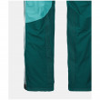 Дамски панталони Ortovox W's Westalpen 3L Pants