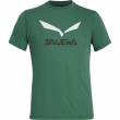 Мъжка тениска Salewa Solidlogo Dri-Rel M S/S Tee зелен MyrtleMelange