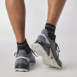 Мъжки обувки за бягане Salomon Alphacross 4 Gore-Tex