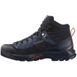 Мъжки обувки Salomon X Ultra Alpine Mid Gore-Tex