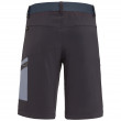 Мъжки къси панталони Salewa Pedroc Cargo 2 DST M Shorts