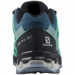 Дамски обувки Salomon Xa Pro 3D V8 GTX W