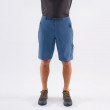 Мъжки къси панталони Montane Terra Alpine Shorts