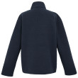 Функционален мъжки суитшърт Regatta Frankie Borg Fleece